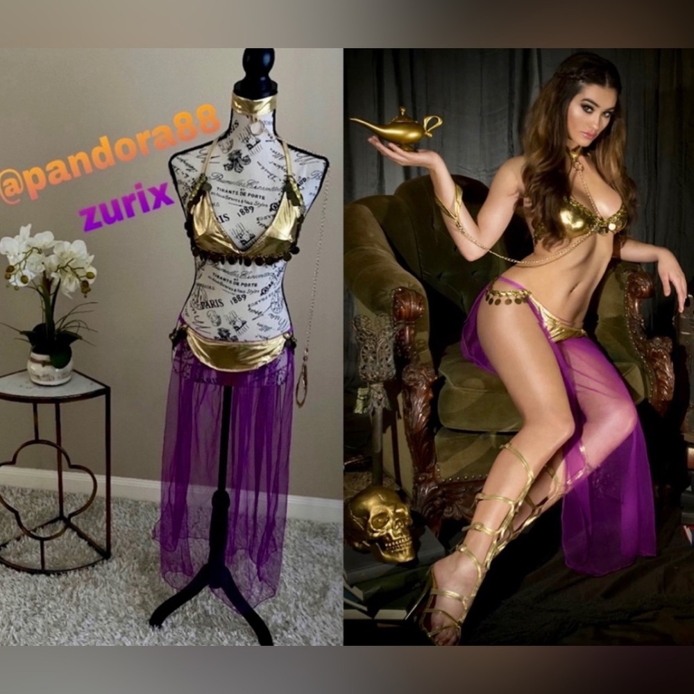 Sexy genie belly dancer lingerie costume valentines